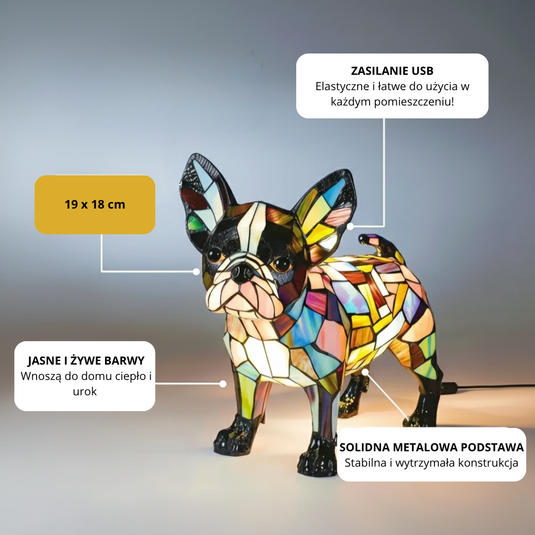 Elegancja boston terriera